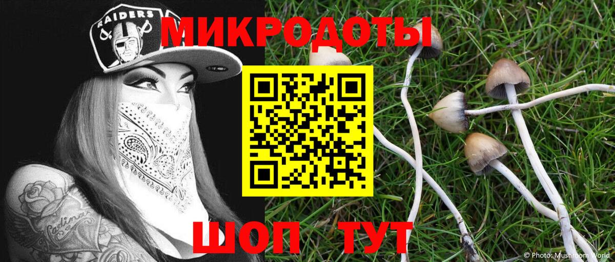 Галлюциногенные грибы прущие грибы  Вход с VPN  Аргун  Псилоцибиновые грибы ЛСД 